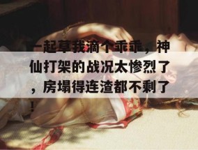 一起草我滴个乖乖，神仙打架的战况太惨烈了，房塌得连渣都不剩了！